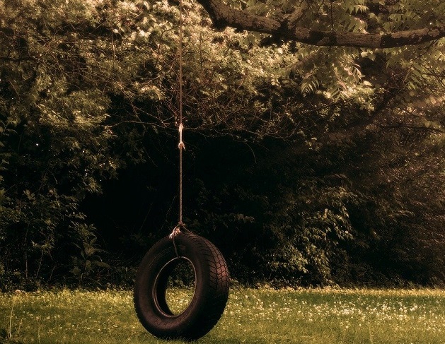 An image showing a tire swing hanging from a tree.