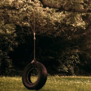 An image showing a tire swing hanging from a tree.